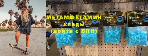 шишки Богородицк