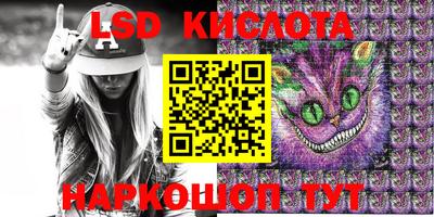 спайс Берёзовский