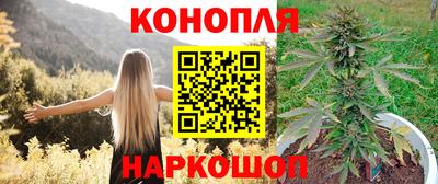 spice Беслан