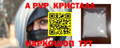 спайс Берёзовский