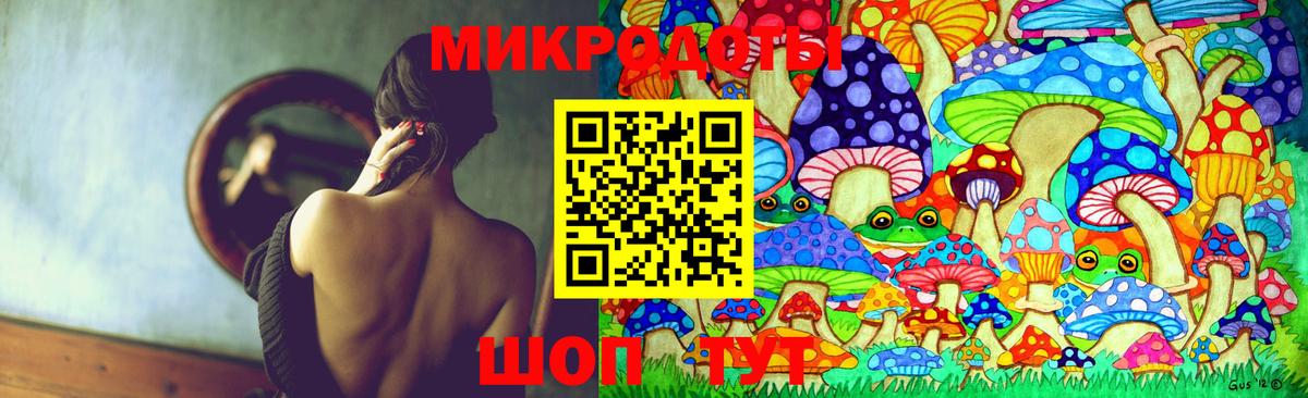 Армавир  Псилоцибиновые грибы прущие грибы  Вход с VPN 